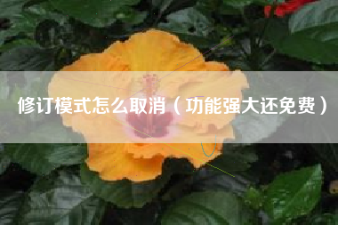 修订模式怎么取消（功能强大还免费）