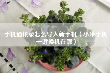 手机通讯录怎么导入新手机(小米手机一键换机在哪)