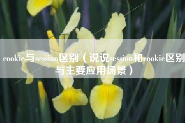 cookie与session区别（说说session和cookie区别与主要应用场景）