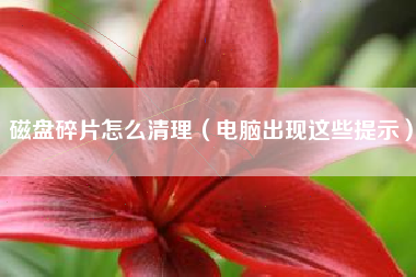 磁盘碎片怎么清理（电脑出现这些提示）