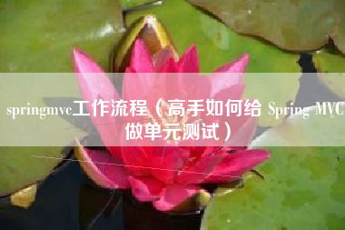 springmvc工作流程(高手如何给 Spring MVC 做单元测试)