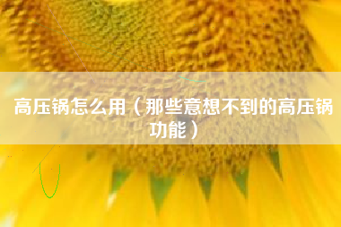 高压锅怎么用（那些意想不到的高压锅功能）