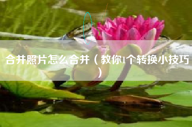 合并照片怎么合并（教你1个转换小技巧）