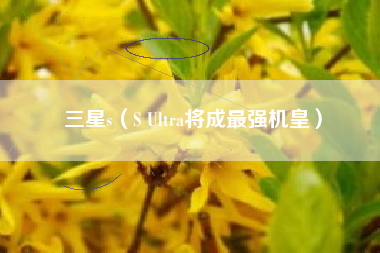 三星s(S Ultra将成最强机皇)