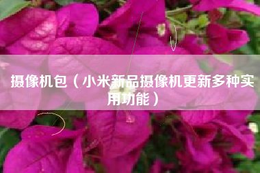 摄像机包（小米新品摄像机更新多种实用功能）