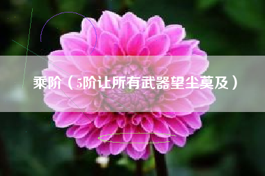 乘阶（5阶让所有武器望尘莫及）