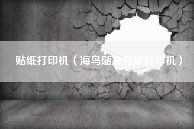 贴纸打印机(海鸟随身贴纸打印机)