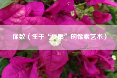 像数(生于“受限”的像素艺术)