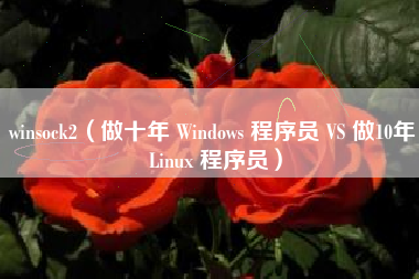 winsock2（做十年 Windows 程序员 VS 做10年 Linux 程序员）