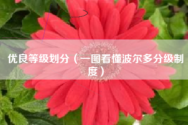 优良等级划分(一图看懂波尔多分级制度)