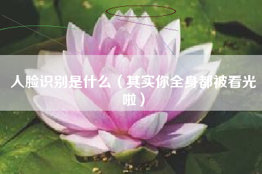 人脸识别是什么（其实你全身都被看光啦）