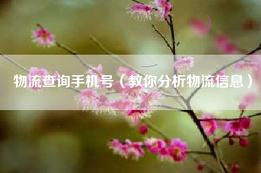 物流查询手机号（教你分析物流信息）