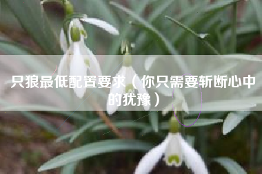 只狼最低配置要求（你只需要斩断心中的犹豫）