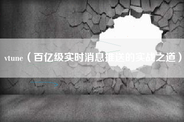 vtune(百亿级实时消息推送的实战之道)