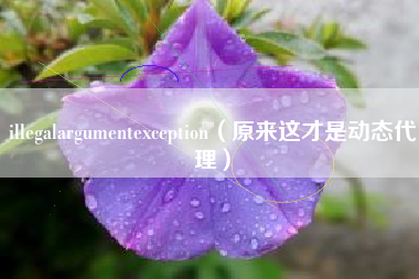 illegalargumentexception（原来这才是动态代理）