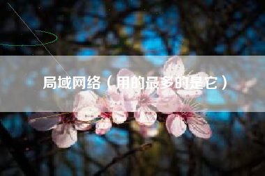 局域网络（用的最多的是它）