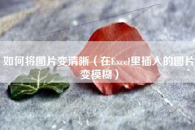 如何将图片变清晰（在Excel里插入的图片变模糊）