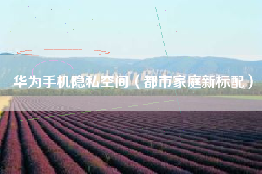 华为手机隐私空间（都市家庭新标配）