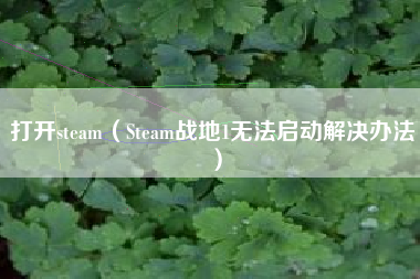 打开steam（Steam战地1无法启动解决办法）
