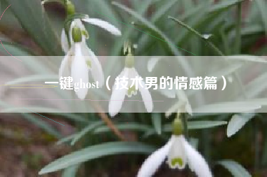 一键ghost（技术男的情感篇）