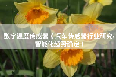 数字温度传感器（汽车传感器行业研究:智能化趋势确定）
