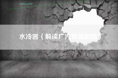水冷器(解读广汽传祺影酷)