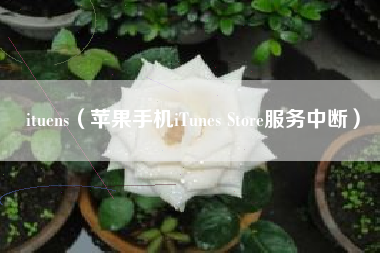 ituens（苹果手机iTunes Store服务中断）