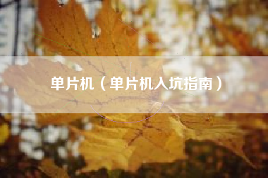 单片机（单片机入坑指南）