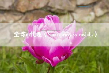 全球ip代理（Smartproxy vs roxlabs）
