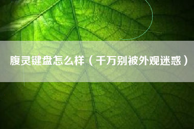 腹灵键盘怎么样(千万别被外观迷惑)