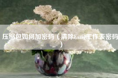 压缩包如何加密码（清除Excel工作表密码）