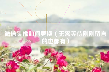 微信头像如何更换（无需等待刚刚留言的也都有）