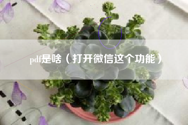 pdf是啥(打开微信这个功能)