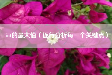 int的最大值（逐行分析每一个关键点）