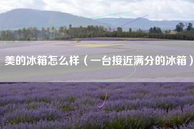美的冰箱怎么样（一台接近满分的冰箱）