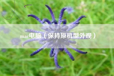 mac电脑（保持原机型外观）