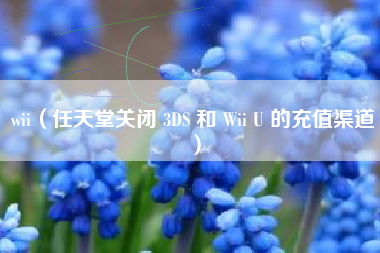 wii(任天堂关闭 3DS 和 Wii U 的充值渠道)