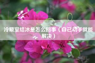 冷藏室结冰是怎么回事（自己动手就能解决）