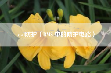 esd防护（BMS 中的防护电路）