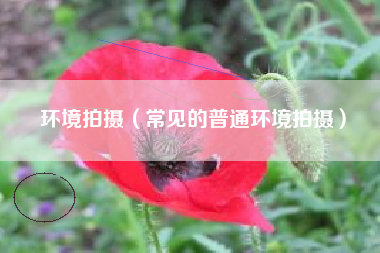 环境拍摄（常见的普通环境拍摄）