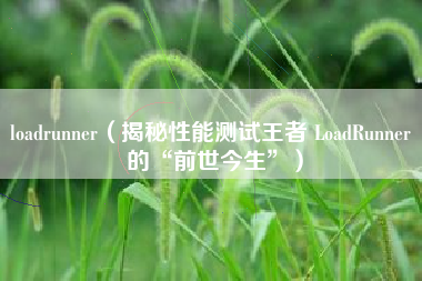 loadrunner(揭秘性能测试王者 LoadRunner 的“前世今生”)