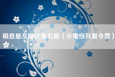 稍息是左脚还是右脚(小鬼当兵夏令营)