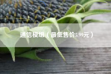 通信模组（最低售价5.99元）