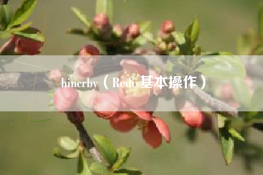 hincrby（Redis基本操作）