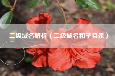 二级域名解析（二级域名和子目录）