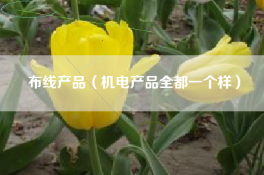 布线产品（机电产品全都一个样）
