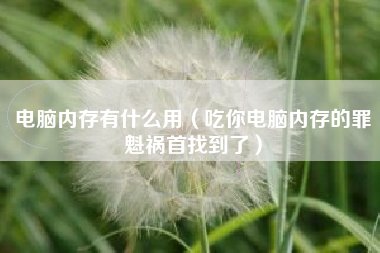 电脑内存有什么用（吃你电脑内存的罪魁祸首找到了）