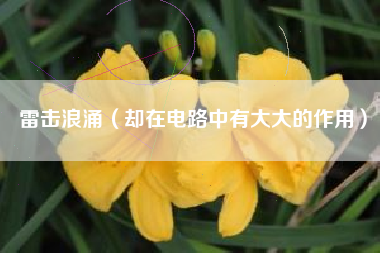 雷击浪涌（却在电路中有大大的作用）