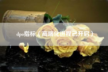 dpo指标(高端化进程已开启)