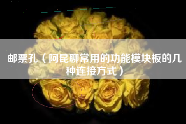 邮票孔（阿昆聊常用的功能模块板的几种连接方式）
